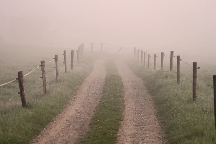 landscape photo of dirt road with brown wood posts by the under foggy sky 2k 4k 5k