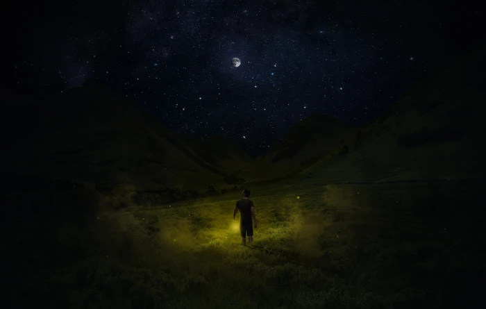 meadow night moon starry sky light magic lantern mystical 2k