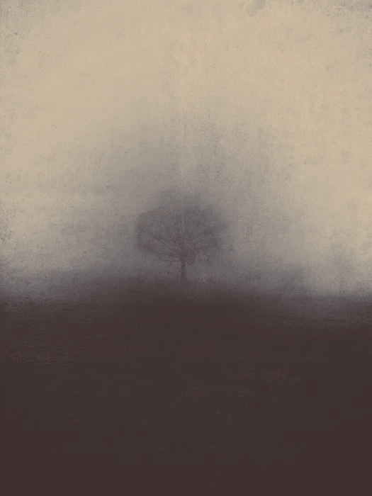 misty fog nature haze foggy gloomy spooky landscape frightening 2k
