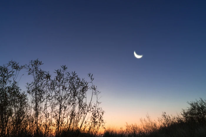 morning moon sunrise natural spectacle romantic crescent 2k 4k 5k