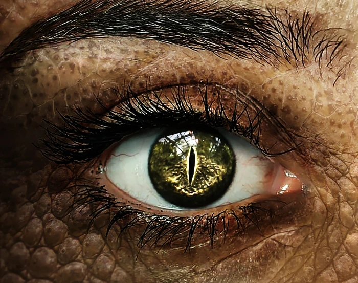 person with reptile eye close up photo crocodile 2k