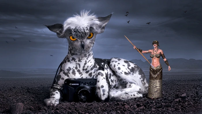 photo of black Camera with white and animal woman holding stick illustration 2k 4k 5k