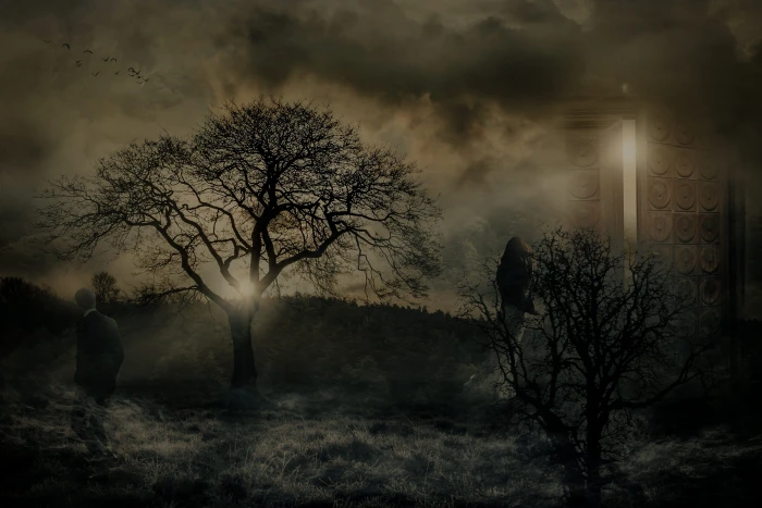 separation pain mystical farewell mysterious tree plant 2k 4k