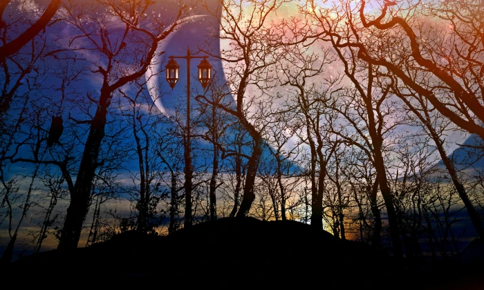 silhouette of bare trees under the moon full forest night 2k