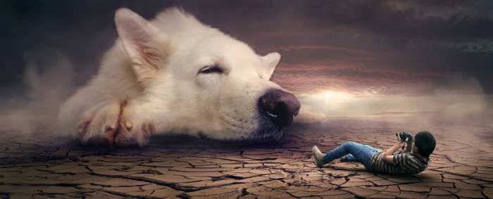 surreal photomontage dog mystical dream fantasy 2k 4k 5k