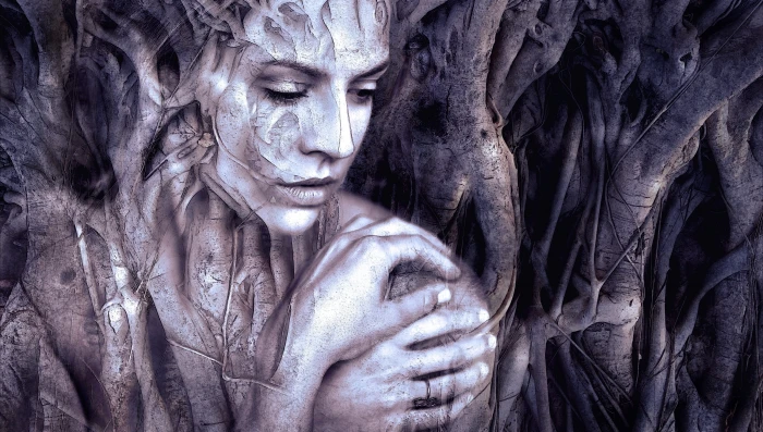 tree trunk with woman face art composing fantasy beauty mystical 2k