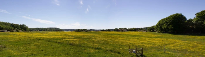 px Dual Monitors Multiple Display People Models Female HD Art widescreen dualmonitor dualscreen 2k 4k