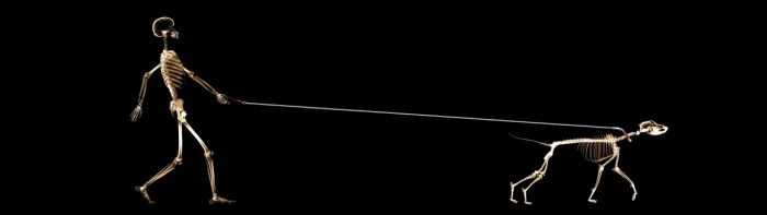 dual screen pretty picture background black studio shot widescreen dualmonitor dualscreen 2k