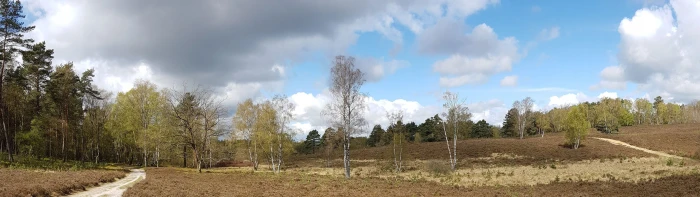 wallpaper dual screen heide way nature heather walk landscape widescreen dualmonitor dualscreen 2k 4k