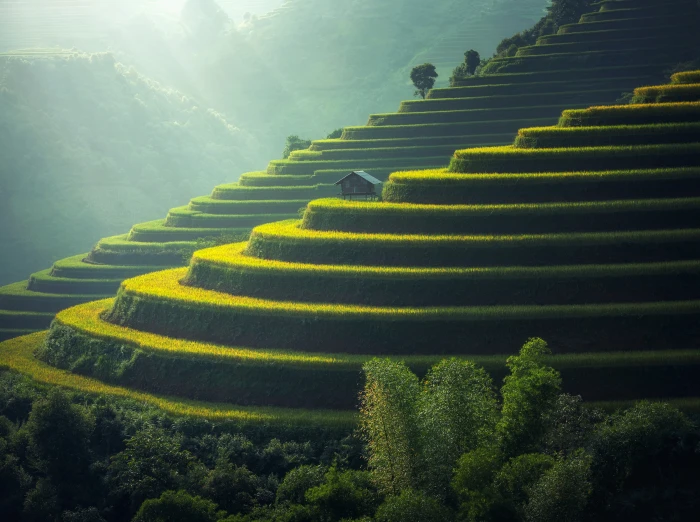 Beautiful Asian Landscape rice terraces Thailand Travel Nature 2k 4k 5k
