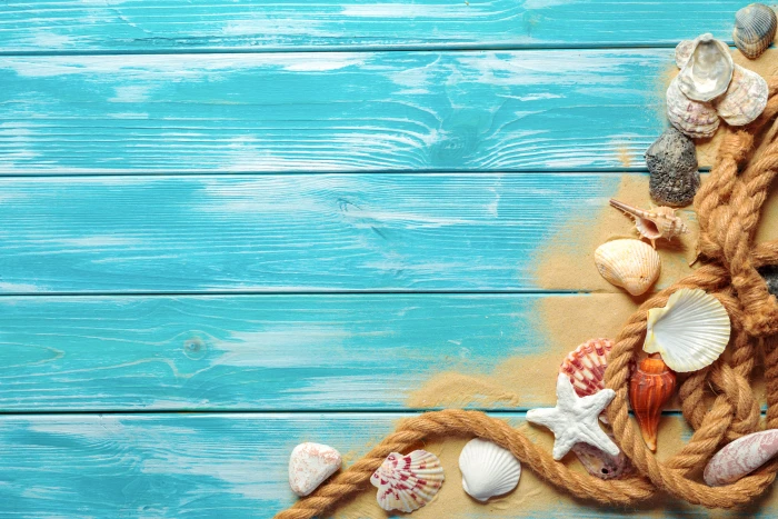 sand beach shell wood marine still life seashells 2k 4k 5k