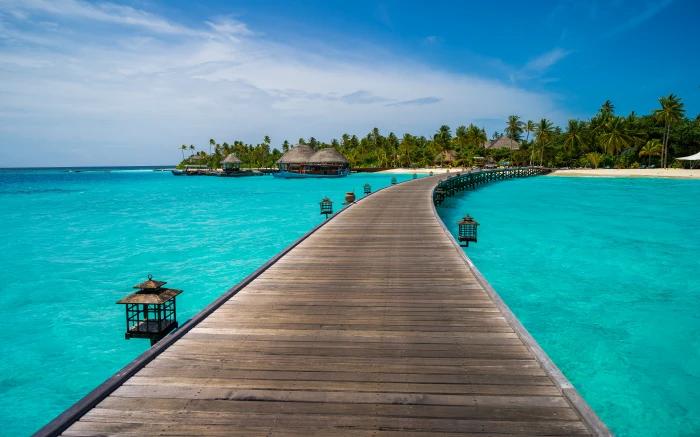 brown wooden bridge dock photography between sea maldives constance 2k 4k 5k