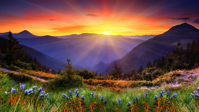 green grass field near mountain at sunset New Zealand wallpaper 2k 4k 5k 8k