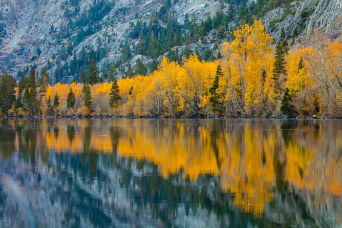 landscape photography yellow trees near mountain silver lake california 2k 4k 5k