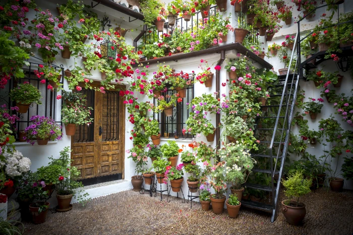 photography of house with flowers pots patio andalusian 2k 4k 5k