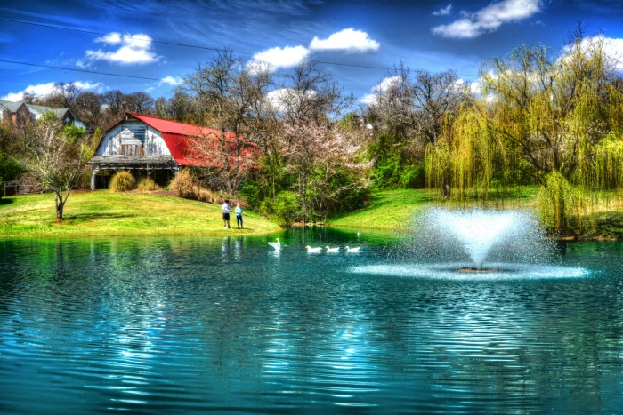 red and white wooden house near river trees during daytime painting 2k 4k 5k