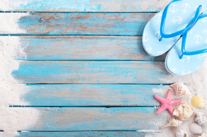 sand beach star shell summer wood marine starfish seashells 2k 4k 5k