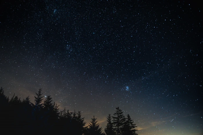 silhouette of pine trees forest starry night nature star Space 2k 4k 5k