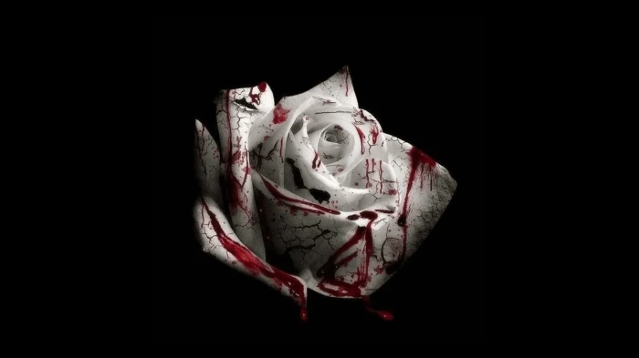 romantic homicide cover white rose bloody amoled 2k