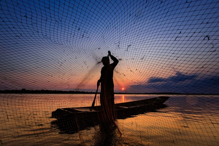 Catching fish with a net morning fisherman 2k