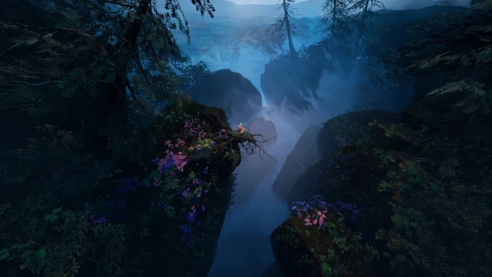 THE MONK in nature forest 2k