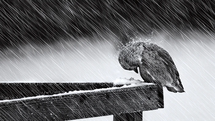 Stormy day 2k 4k 5k 8k