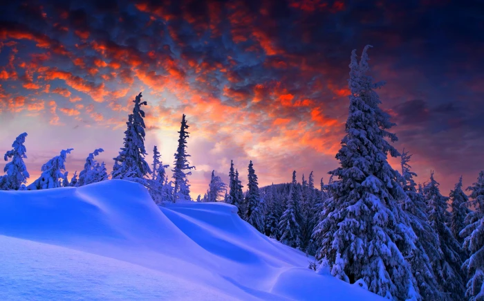 Winter Christmas mountain with snow and forest digital wallpaper 76 2k 4k 5k 8k