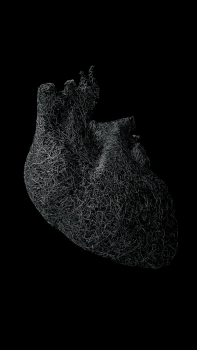 Heart