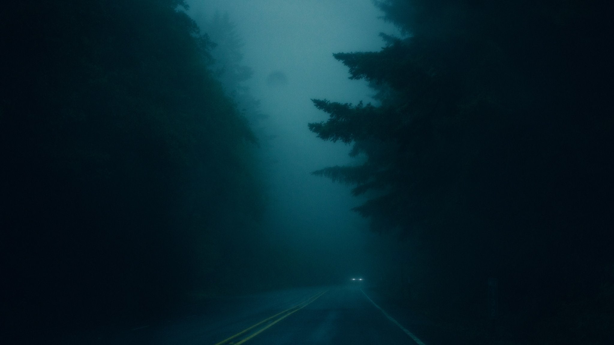 road in the middle of forest 2k