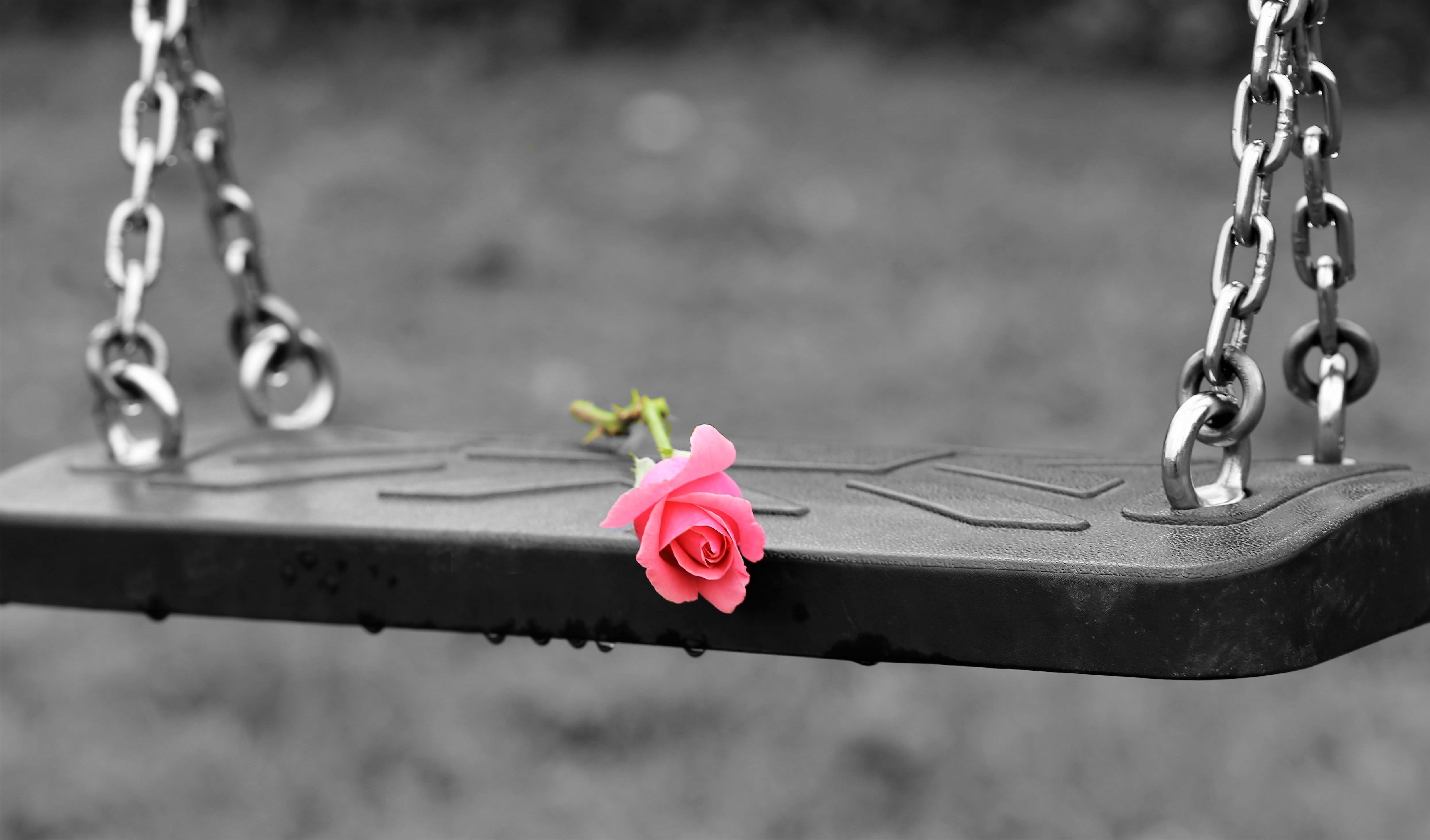 pink rose on empty swing stop children suicide playground 2k 4k