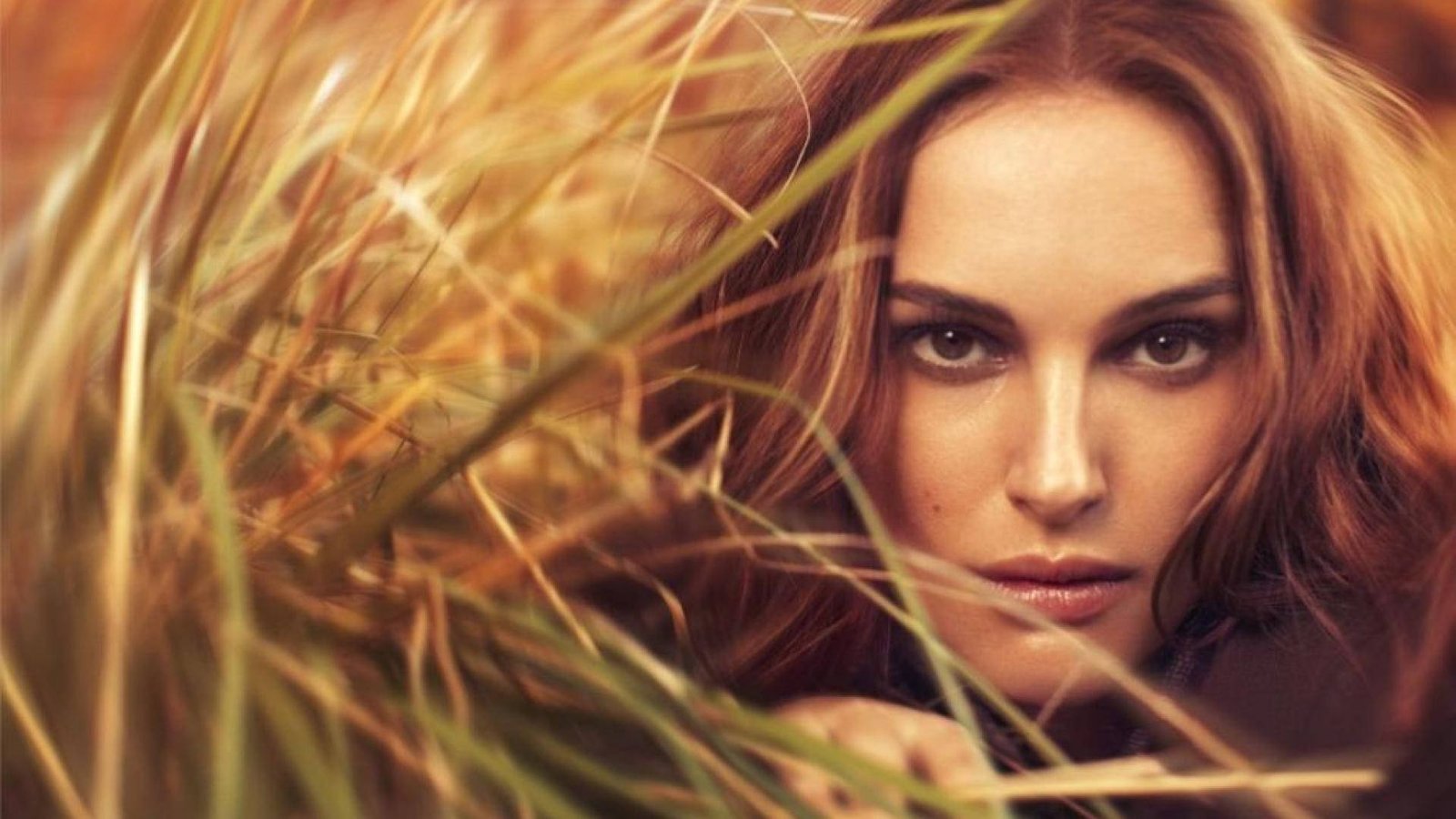 natalie portman in the grassy area actress hollywood