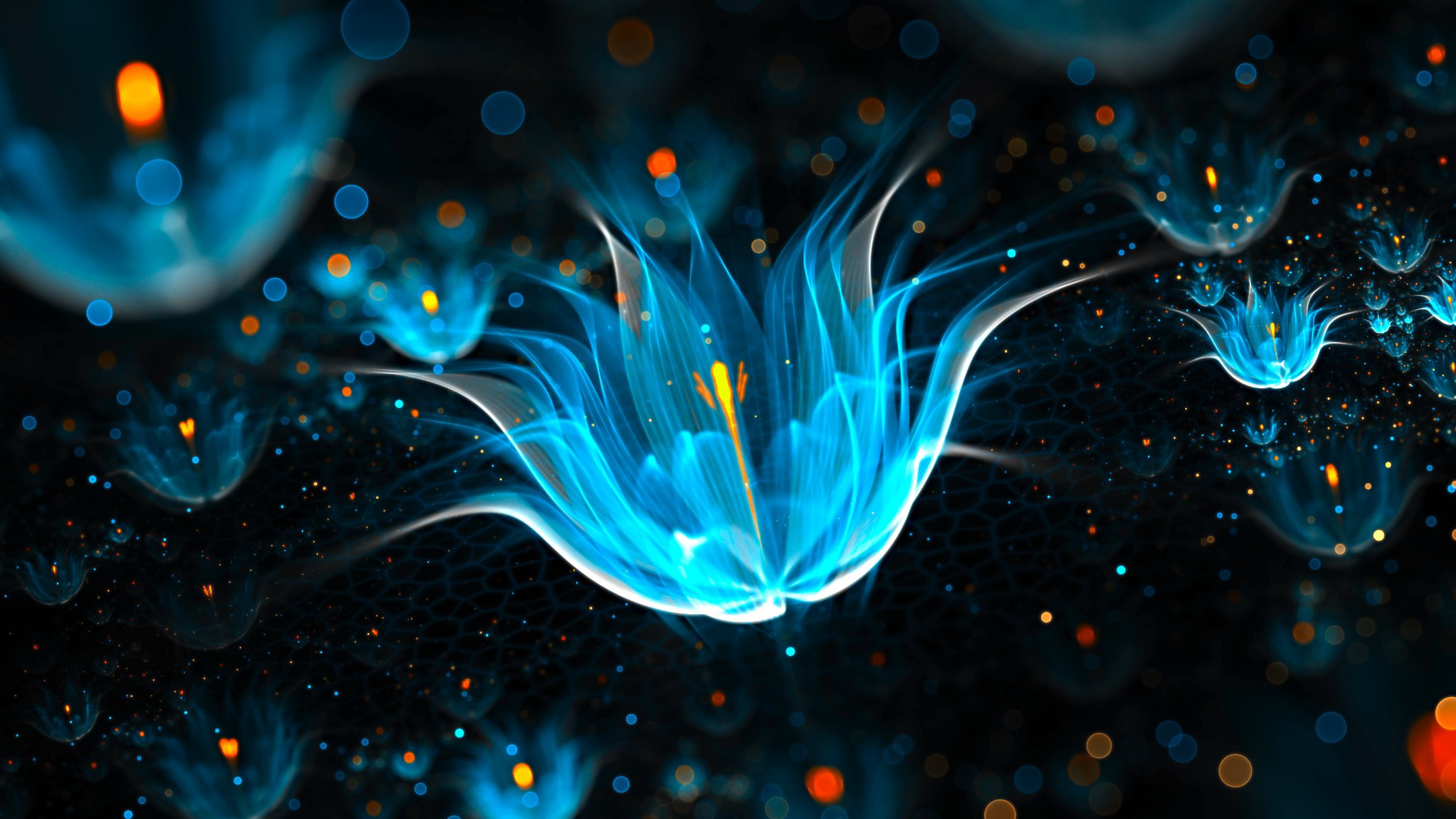Blue Flower Abstract Wallpaper For Mobile Phones Tablet And Computer 2k