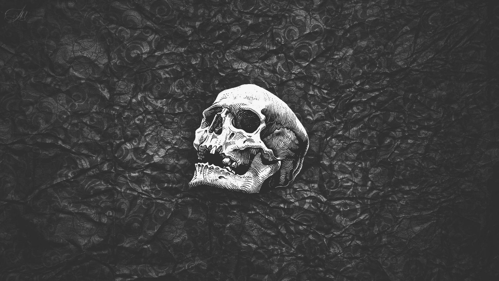 human skull wallpaper black white abstract simple artwork