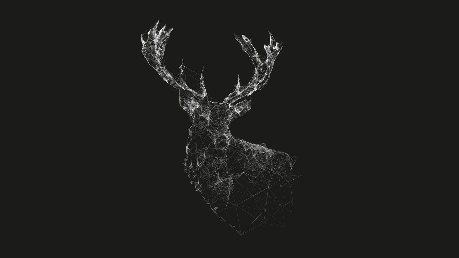 white deer sketch grey digital wallpaper geometry wireframe 8