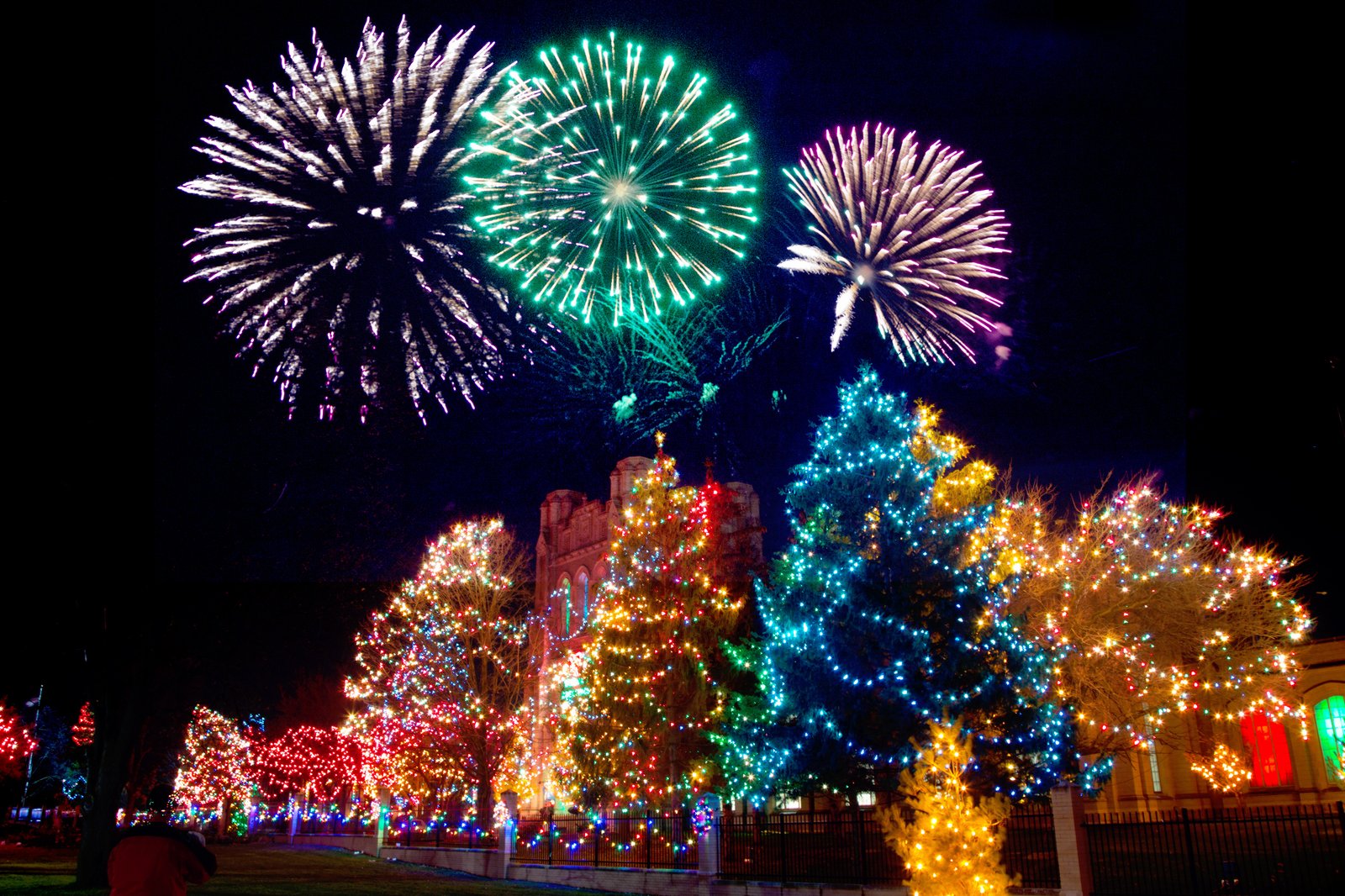 lighted christmas trees photo during daytime xmas lights 2k 4k 5k