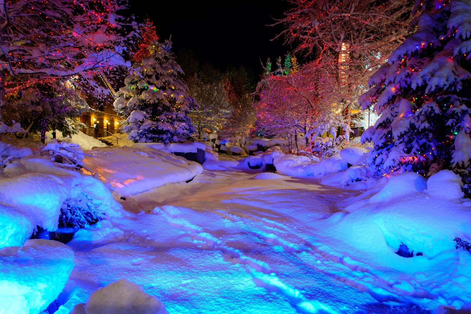 snow trees winter the city house Park holiday spruce garland 2k 4k 5k