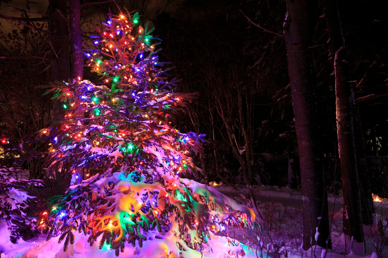 Bright and merry Christmas lights xmas festival season christmas eve 2k