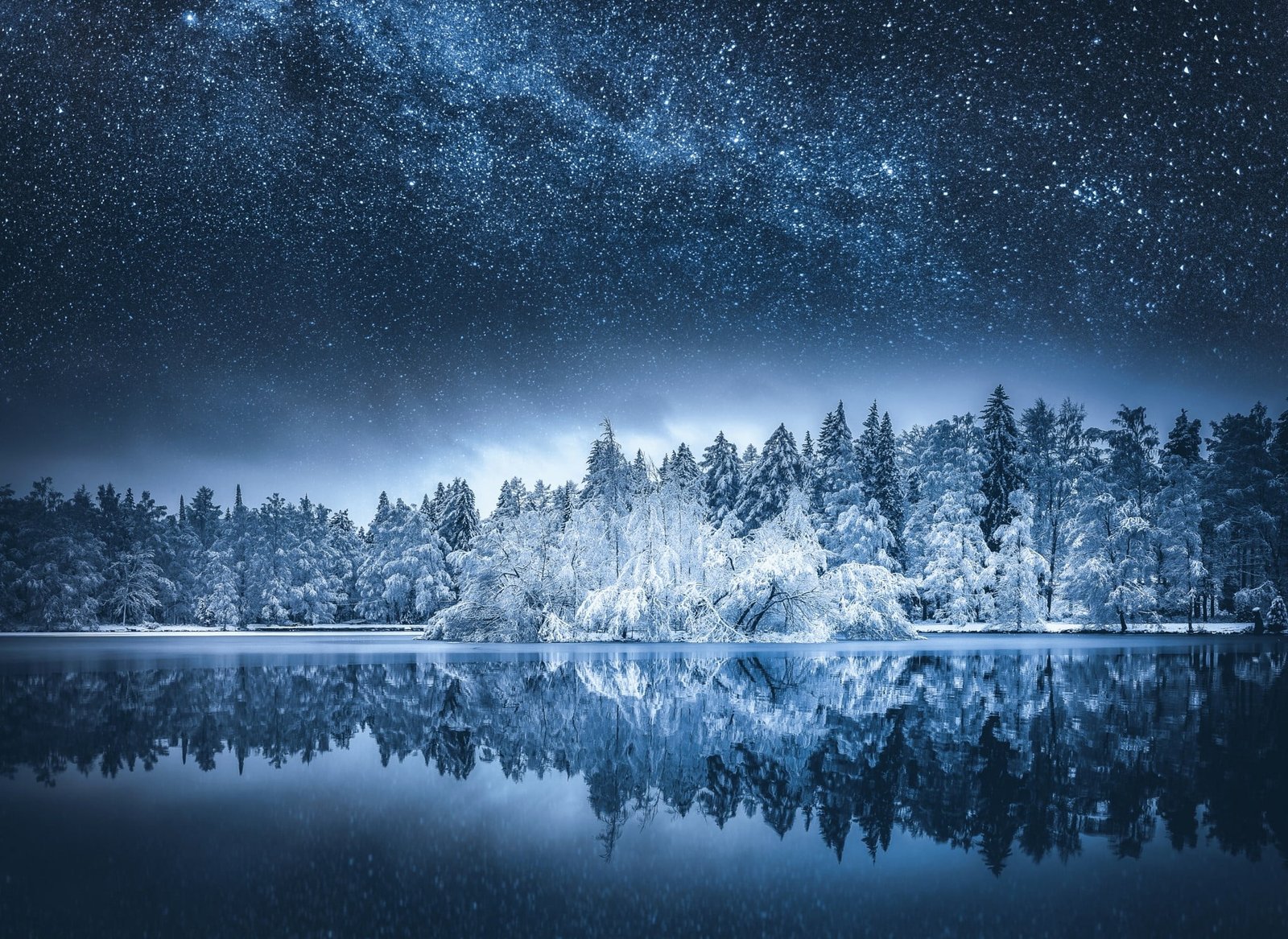 body of water and trees beside nature landscape 2k