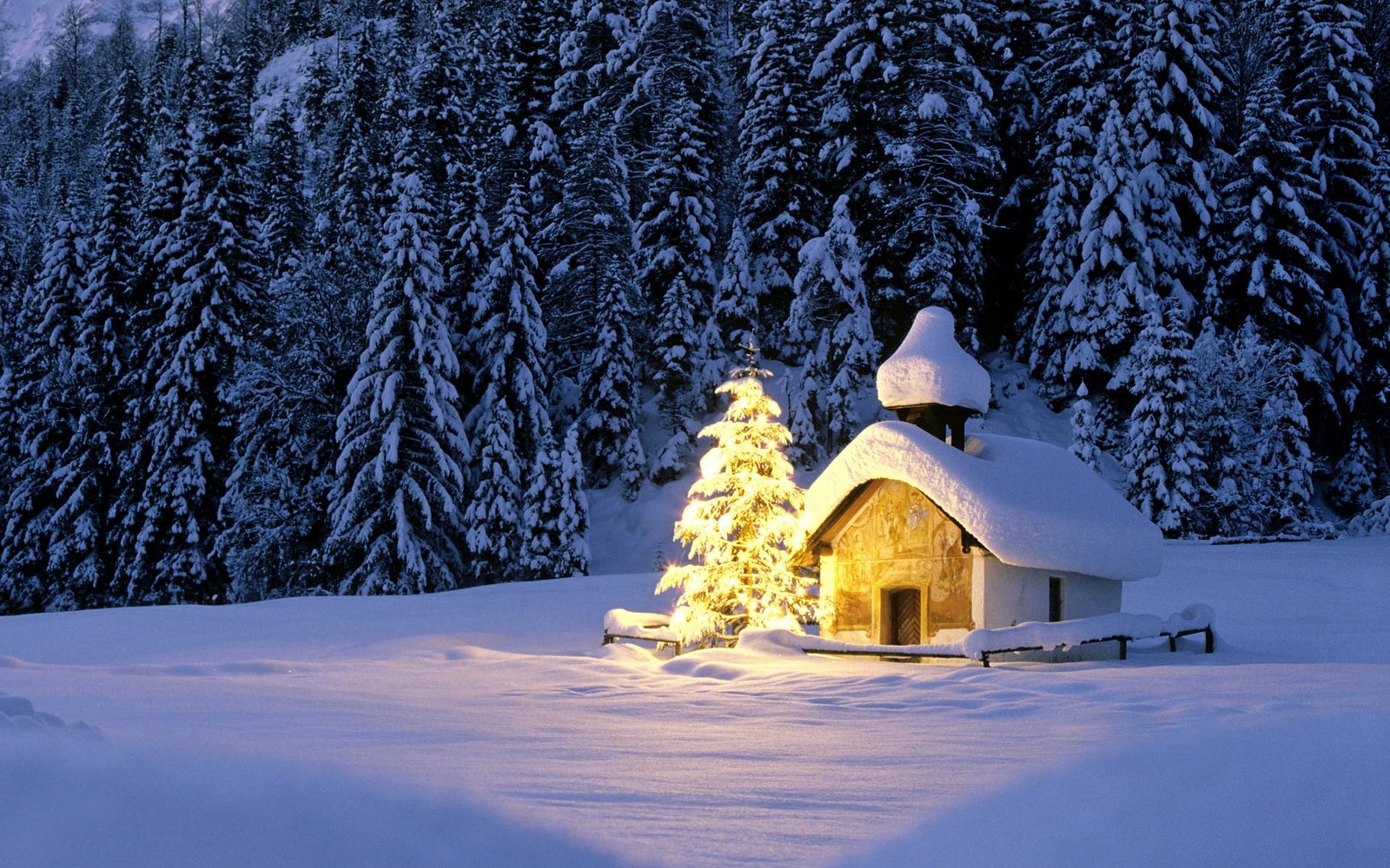 snow covered cabin winter forest light lights ate Christmas