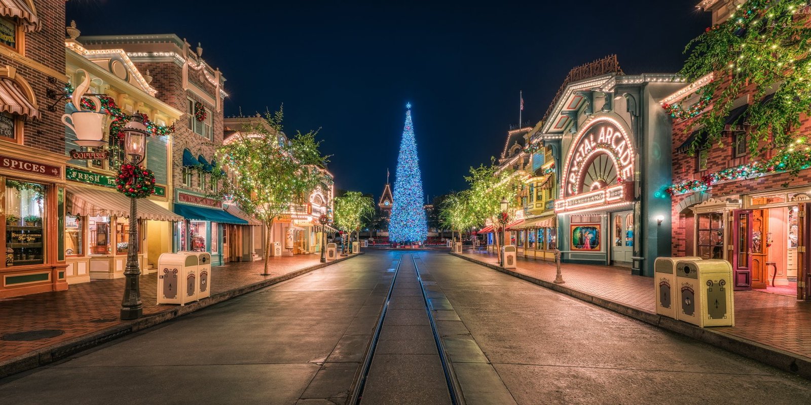 Holiday Christmas California Tree Disneyland