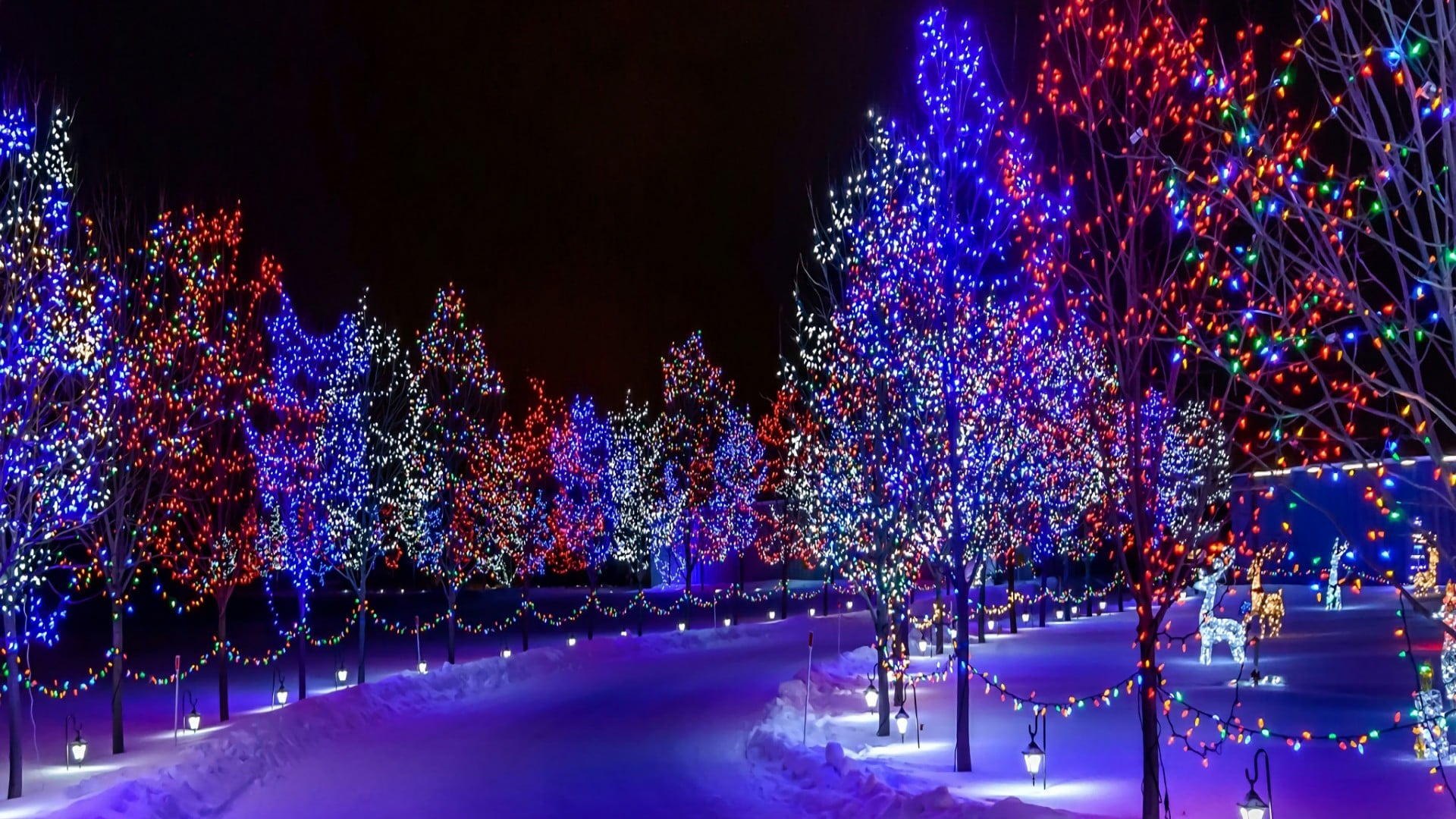 christmas xmas winter snow lights decoration
