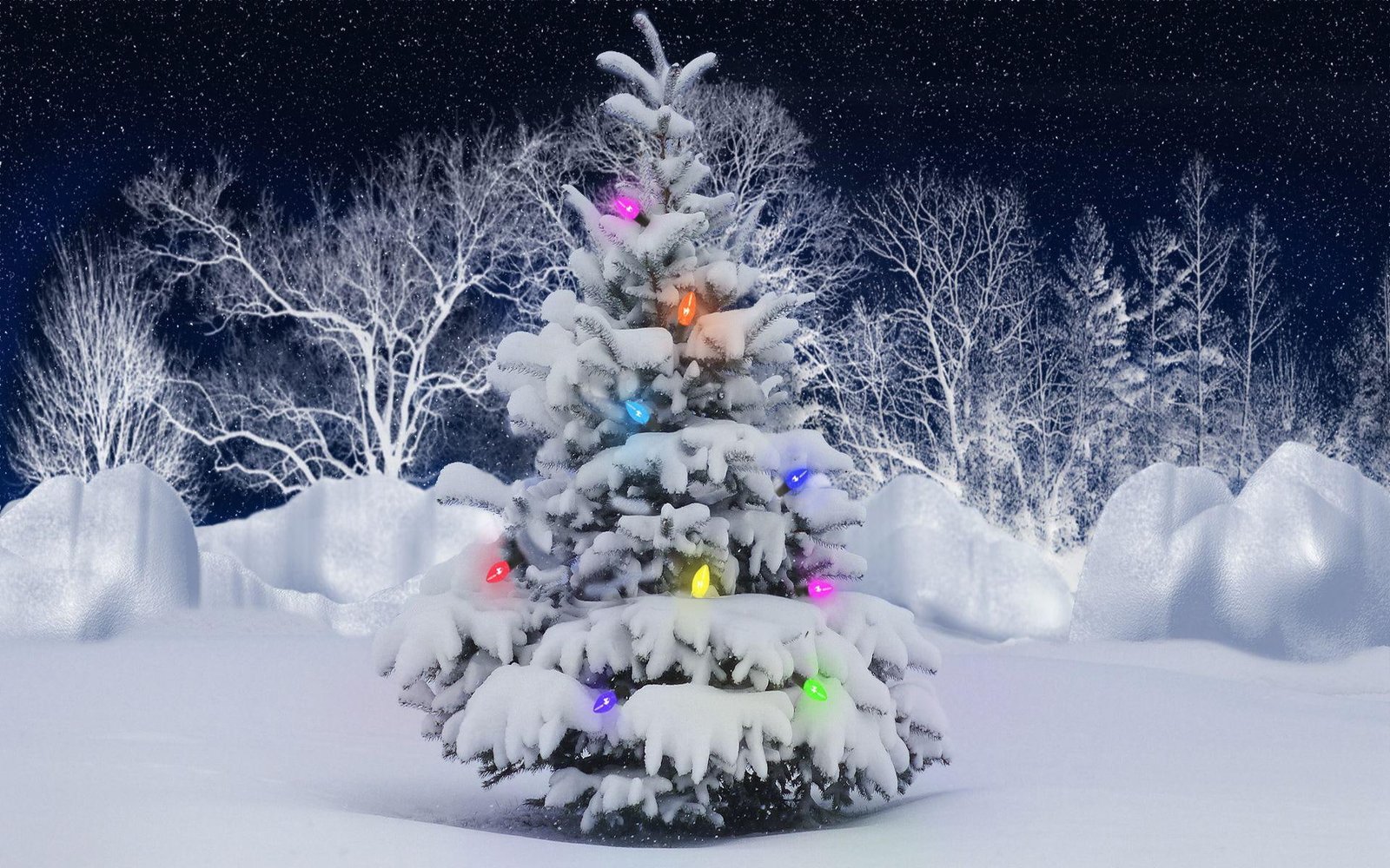 Outdoors Christmas Tree snow covered pine tree painting holidays