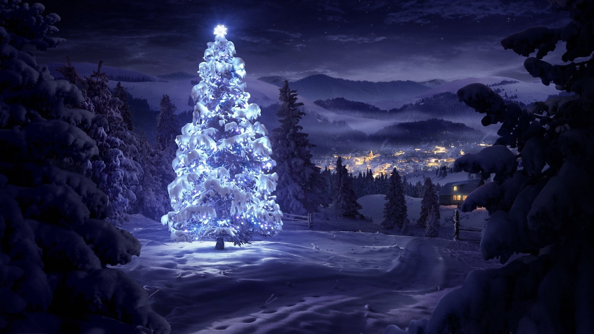 christmas night landscape tree mountain snow winter trees