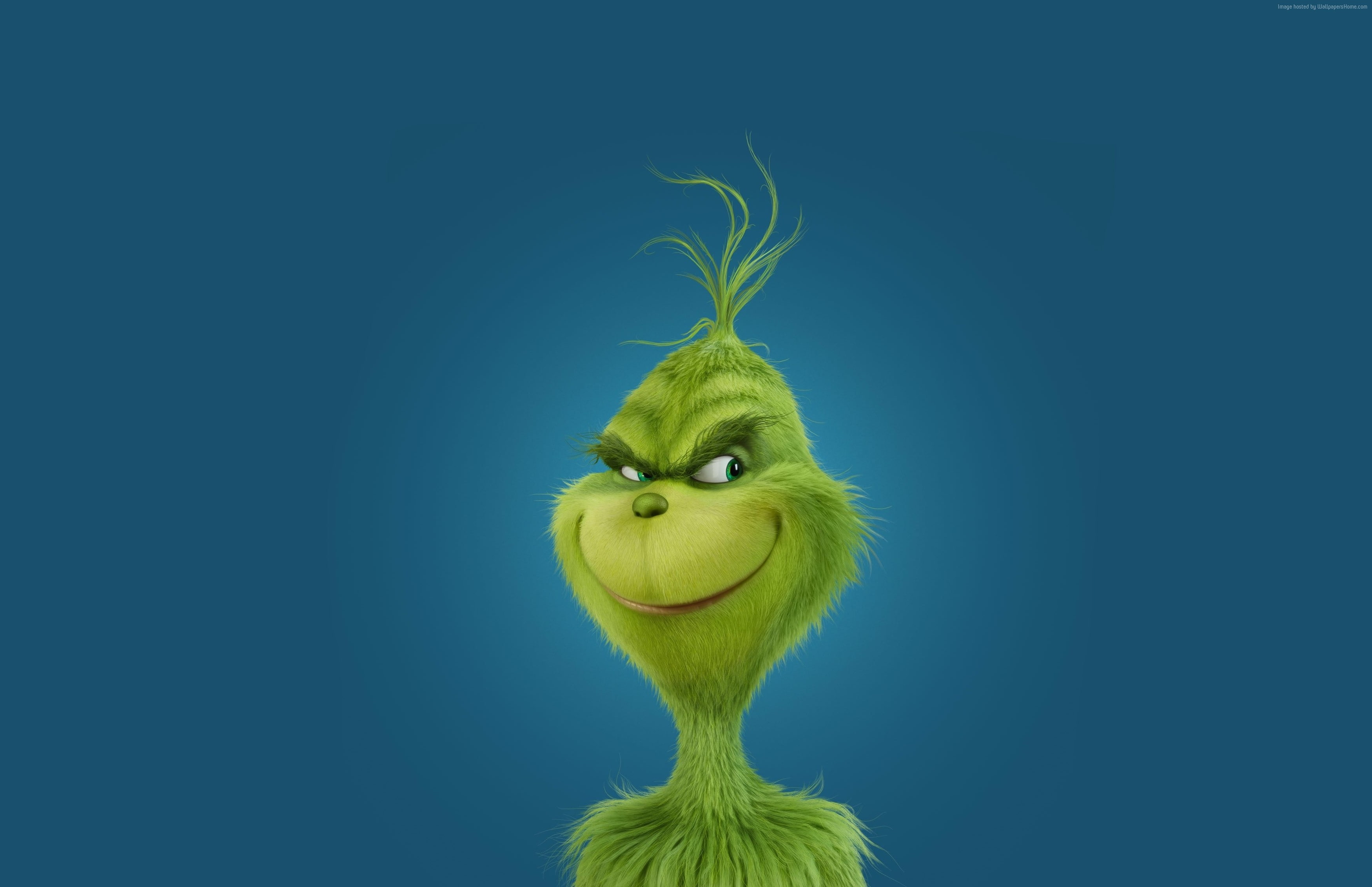 green How the Grinch Stole Christmas 2k