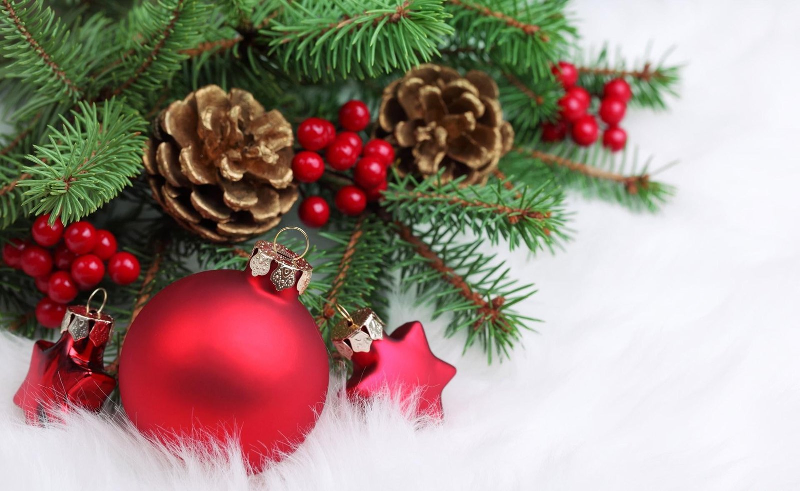 christmas decorations bud twig needles fur new year