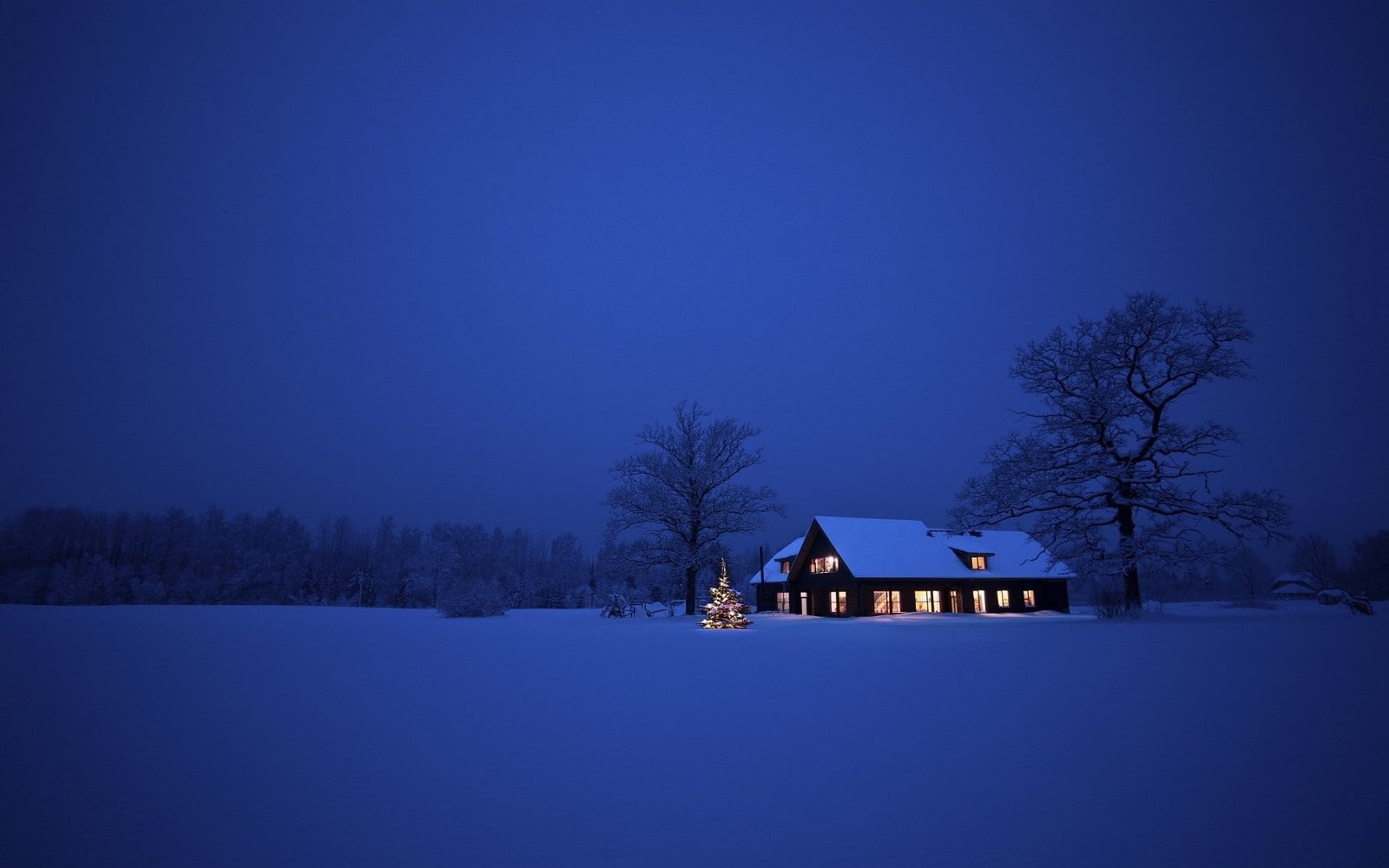 winter house snow Christmas Tree night blue