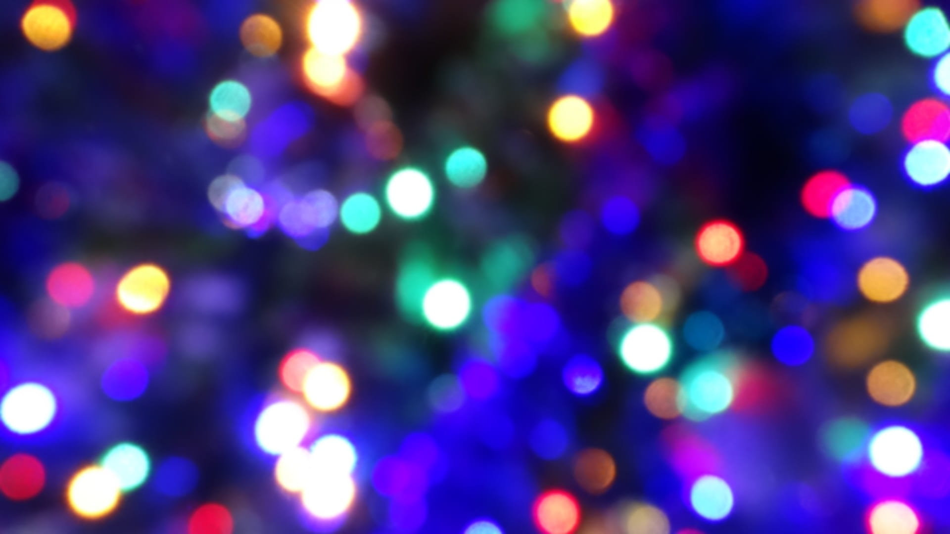 assorted color bokeh lights christmas background colors blur