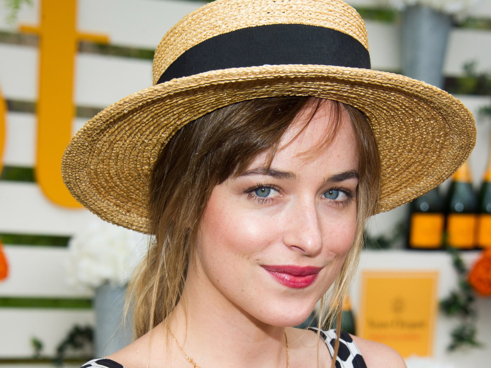 Actresses Dakota Johnson Girl Woman