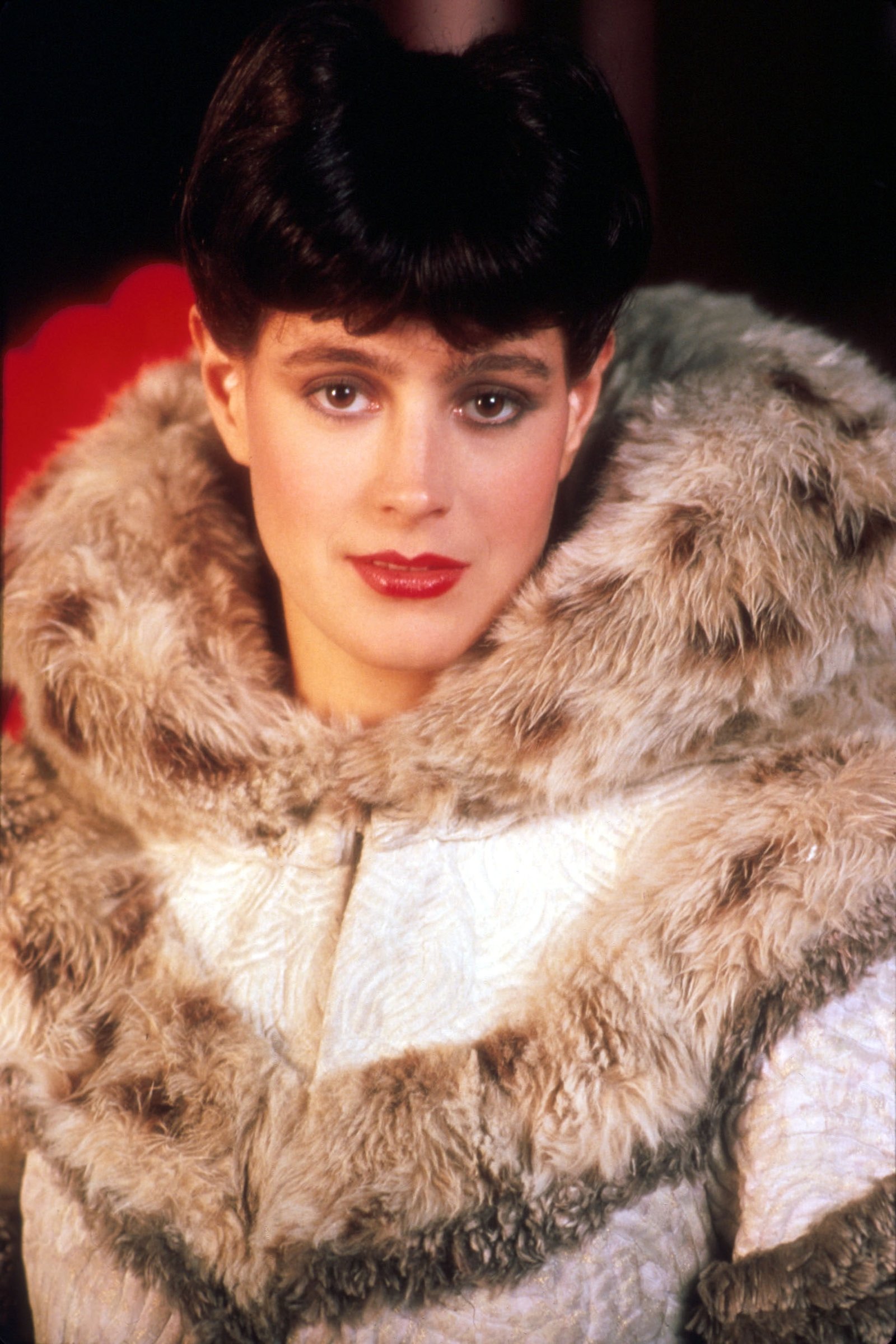 movies actress blade runner sean young People Actresses HD Art