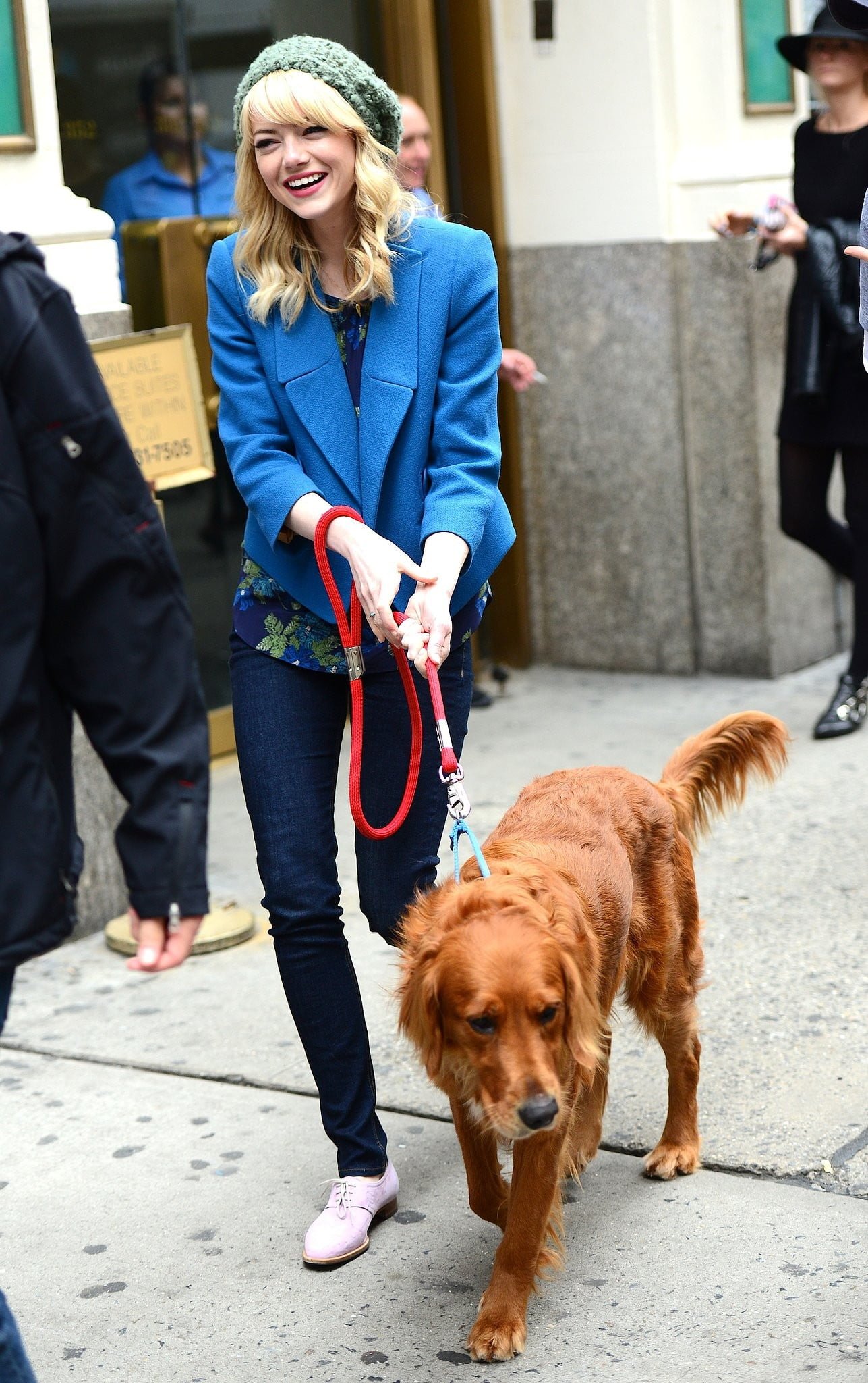 Emma Stone actress women dog animals pets domestic